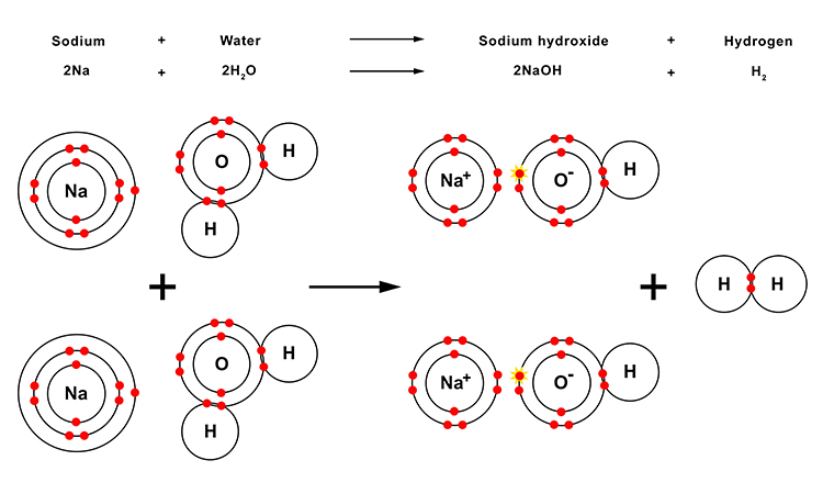 Diagram showing what happens to sodium molecules when introduced to water